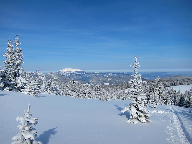 Schneeberg